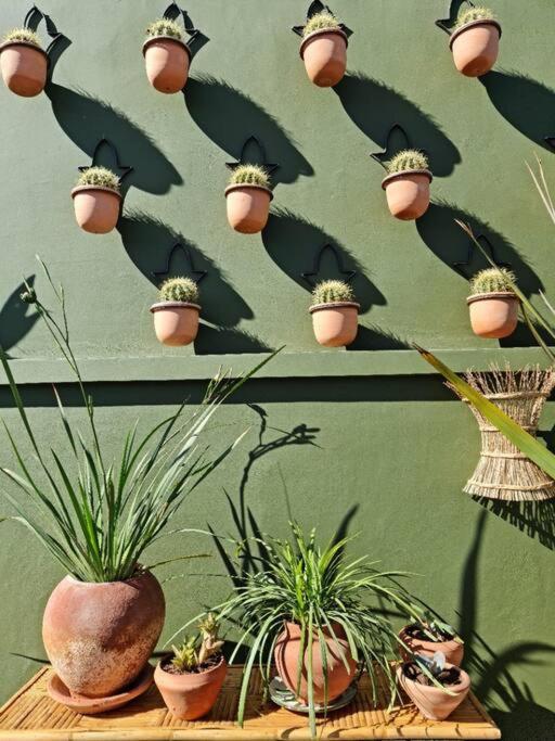 Riad Olive Privatif 4 Personnes Hotel Marrakesh Exterior photo